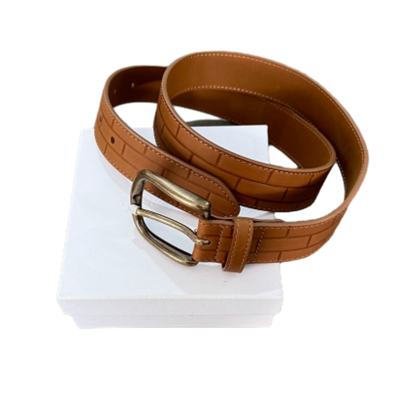 Experiment 5 Brick Belt