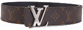 Budget Louis Vuitton Belt (15-Colorways)