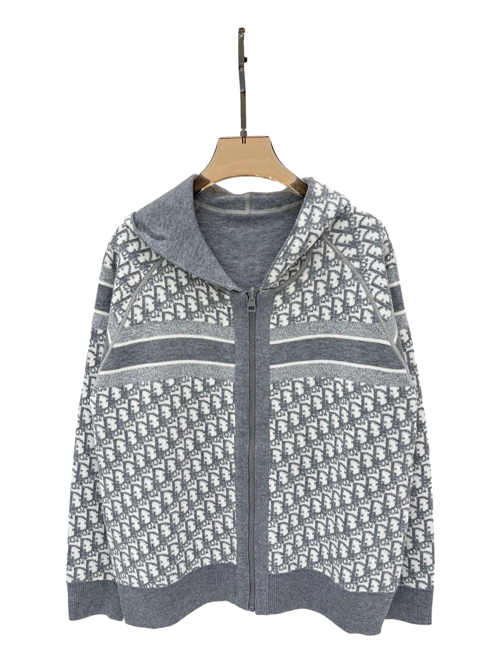 Dior Hoodie