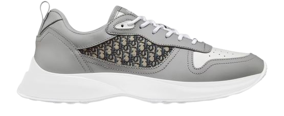 Dior B25