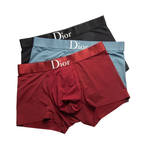 Dior Underwear
