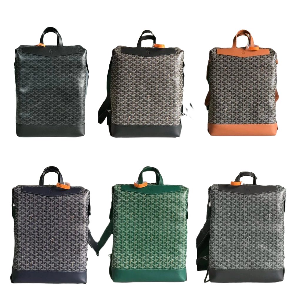 CLEANEST GOYARD BACKPACK