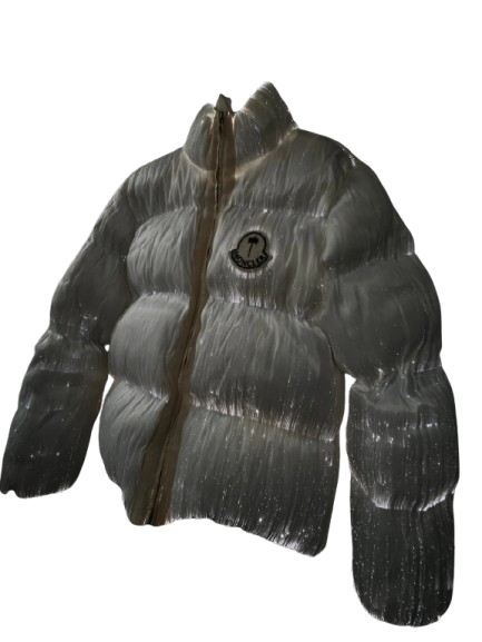 Palm Angels x Moncler Puffer Jacket (Light Up)
