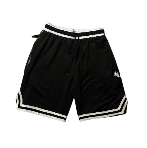 Nike Sports Shorts (13 Colorways)