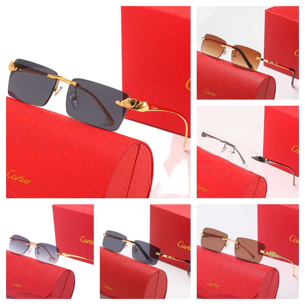 Cartier Glasses